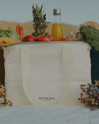 Insulated Grocery Bag