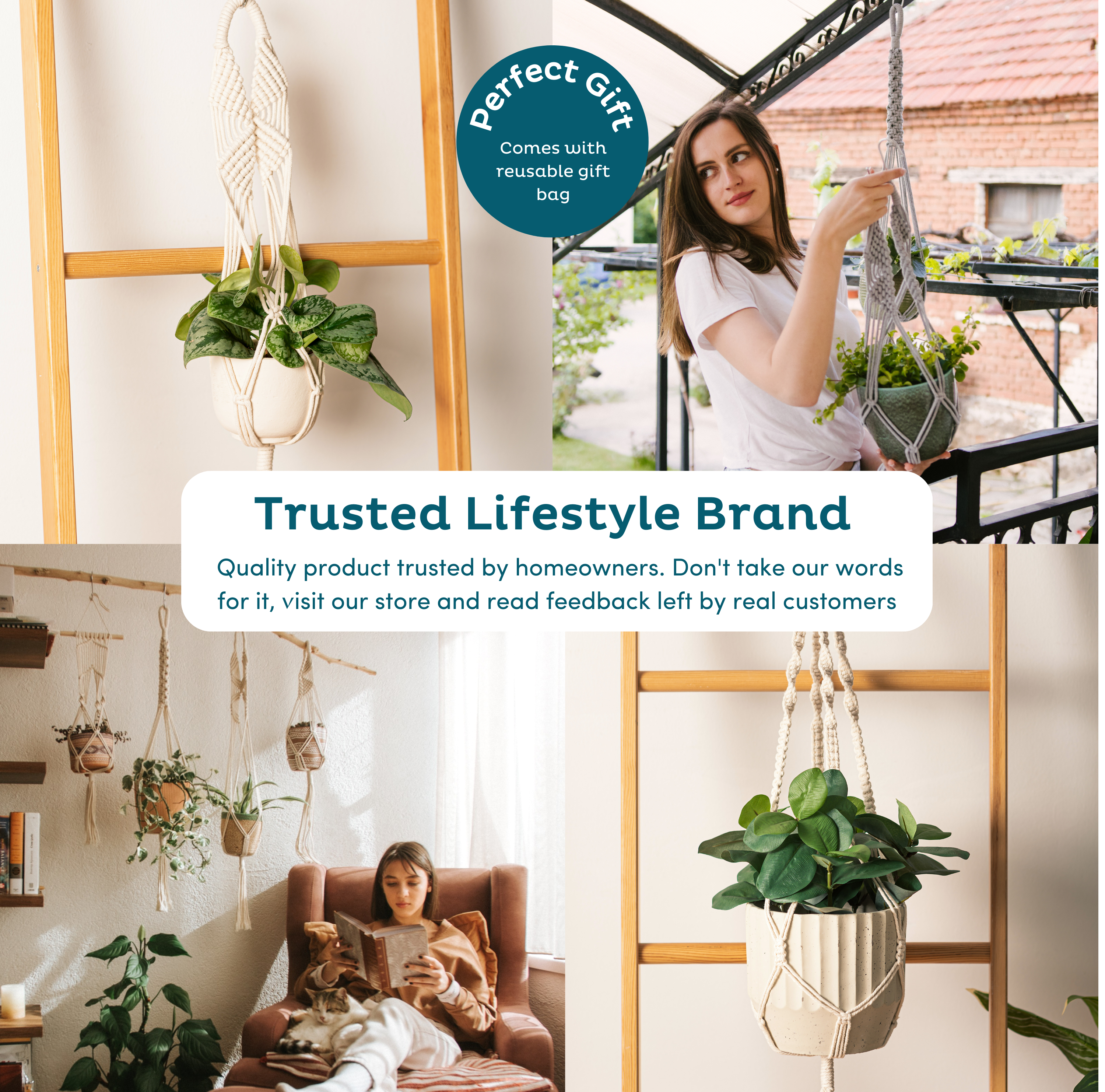 plants to hang in macrame 6-Pack Macrame Plant Hanger