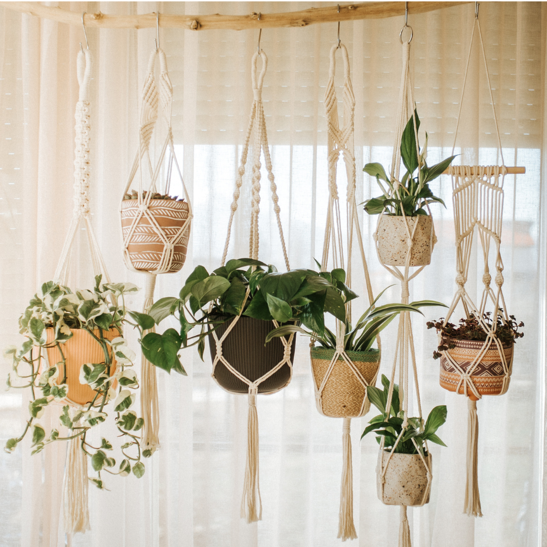 6-Pack Macrame Plant Hanger
